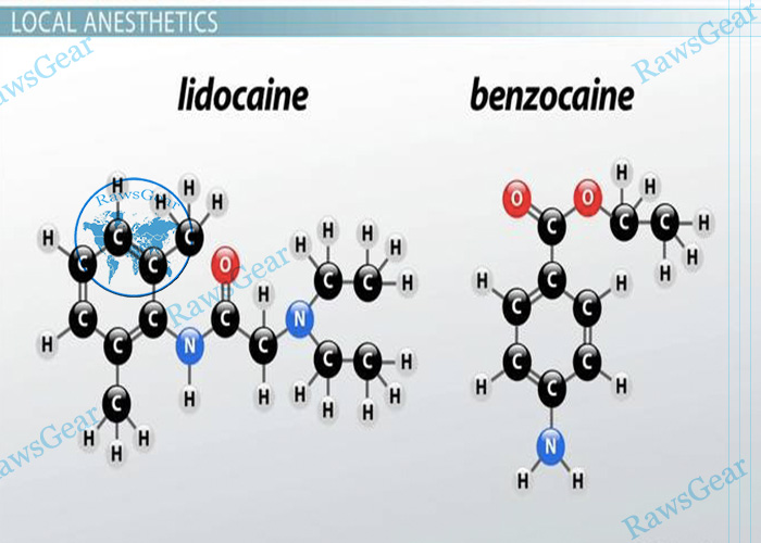 benzocaine and lidocaine